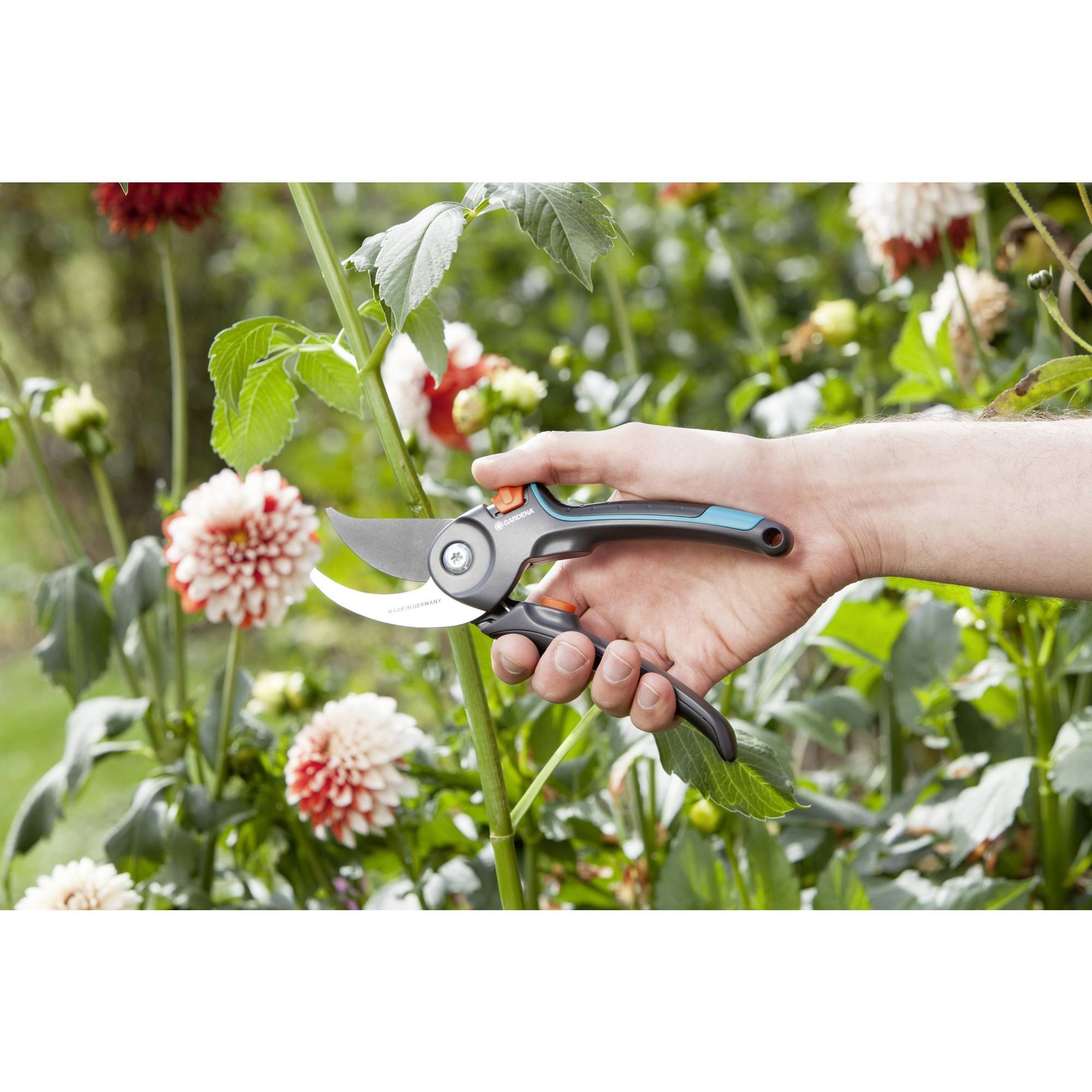 Sécateur GARDENA 08904-20 B/M – Image 4